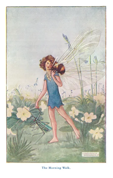 Framed Print : Fairyland. The waking fairy out walking with her friends the grasshopper and bumble bee Framed Print : Fairyland. The waking fairy out walking with her friends the grasshopper and bumble bee