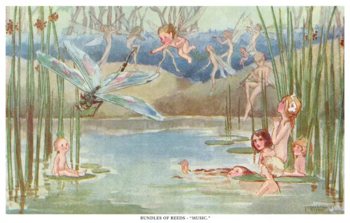 Framed Print : Fairyland. Bundles of Reeds - Music. The language of fairies and plants Framed Print : Fairyland. Bundles of Reeds - Music. The language of fairies and plants