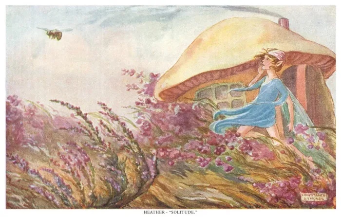 Framed Print : Fairyland. Heather - Solitude. The language of fairies and plants Framed Print : Fairyland. Heather - Solitude. The language of fairies and plants
