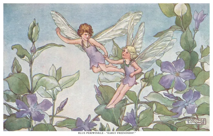 Framed Print : Fairyland. Blue periwinkle - Early Friendship Framed Print : Fairyland. Blue periwinkle - Early Friendship