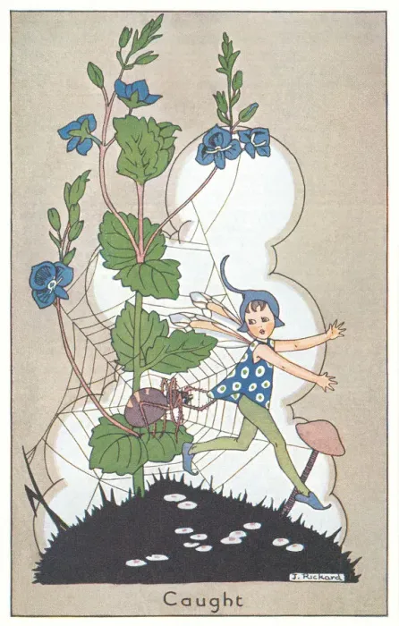 Framed Print : Fairyland. A fairy caught up in a spiders web. Artist: J Rickard. Date: 1927 Framed Print : Fairyland. A fairy caught up in a spiders web. Artist: J Rickard. Date: 1927