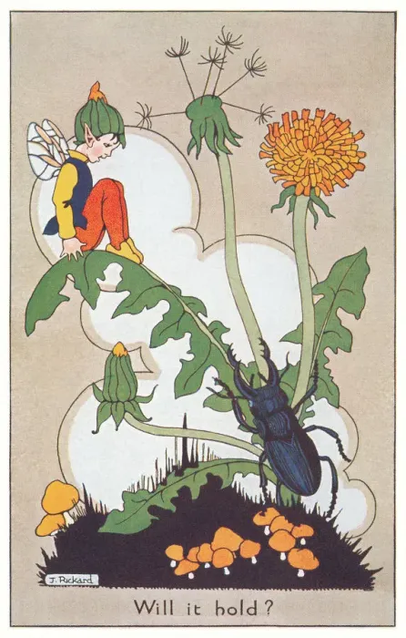 Framed Print : Fairyland. A fairy seated precariously upon a leaf to avoid a large beetle Framed Print : Fairyland. A fairy seated precariously upon a leaf to avoid a large beetle
