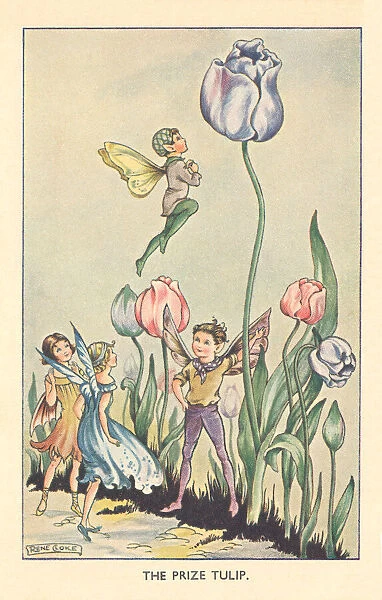 Fairyland. The Prize Tulip. Fairies admiring the huge tulip