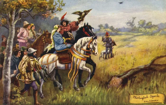 Framed Print : Falconry. Old English Sports - Falconry taking place in a medaeval setting. Date: 1908 Framed Print : Falconry. Old English Sports - Falconry taking place in a medaeval setting. Date: 1908