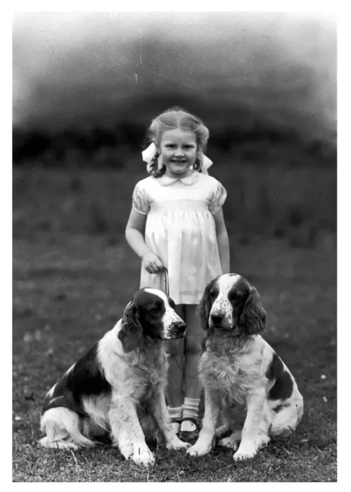 Framed Print : FALL / CHILD & SPANIEL FALL / CHILD & SPANIEL Framed Print : FALL / CHILD & SPANIEL FALL / CHILD & SPANIEL