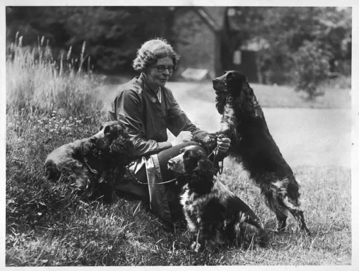 Framed Print : FALL / COCKER SPANIEL / 1936 Framed Print : FALL / COCKER SPANIEL / 1936