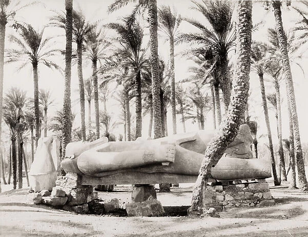 Fallen statue of Ramses II at Memphis, Egypt