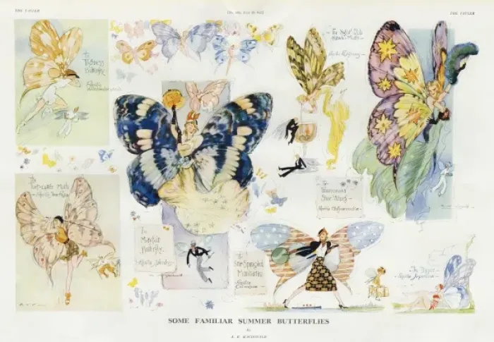 Framed Print : Some Familiar Summer Butterflies by A. K. Macdonald Framed Print : Some Familiar Summer Butterflies by A. K. Macdonald