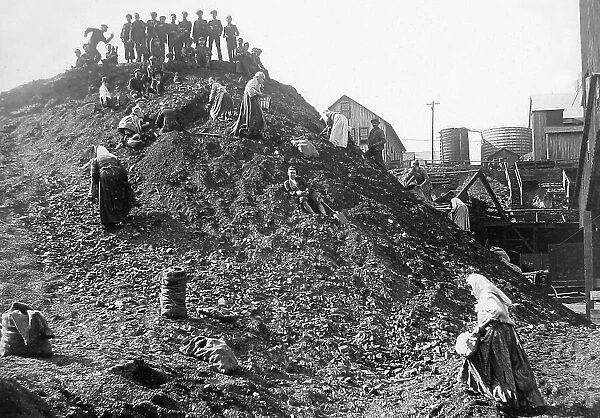 Families picking coal from a dump Scranton Pennsylvania USA