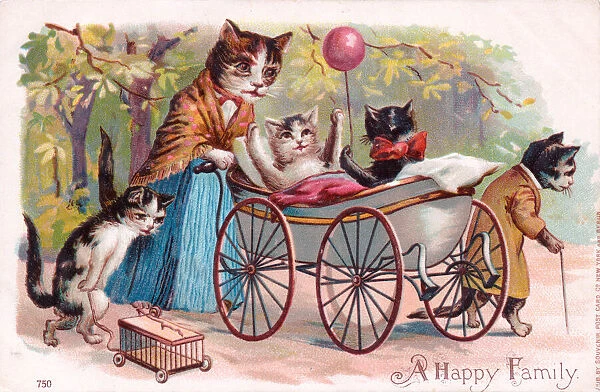 Family of cats in the park on a postcard