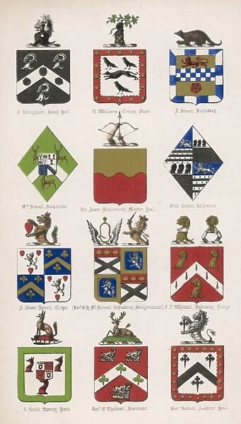 Family Coats of Arms 15