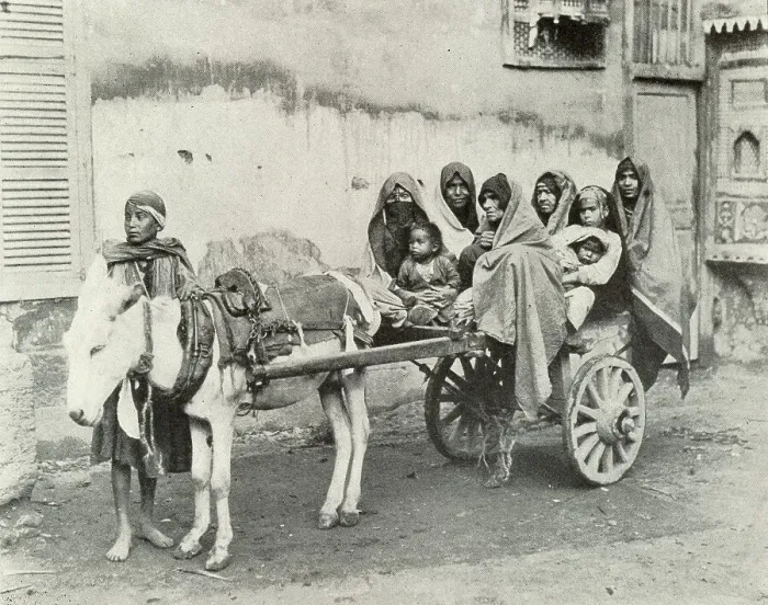 Framed Print : Family Conveyance in Cairo, Egypt Framed Print : Family Conveyance in Cairo, Egypt