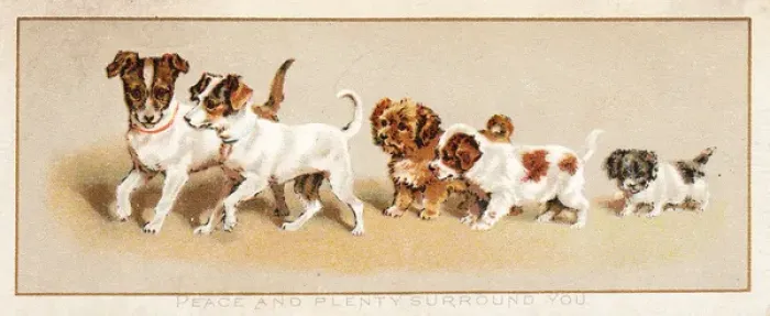 Framed Print : Family of five dogs on a greetings card Framed Print : Family of five dogs on a greetings card