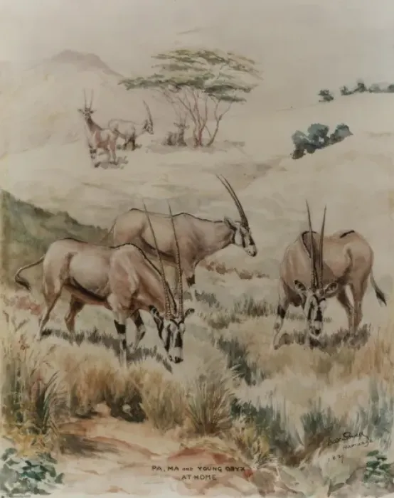 Framed Print : Family of Oryx, Namanga Framed Print : Family of Oryx, Namanga