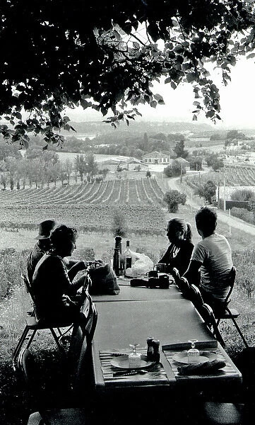 Family picnic in vineyard, France