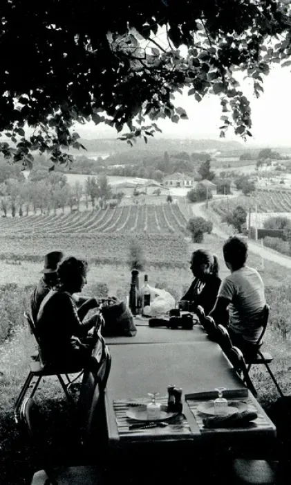 Framed Print : Family picnic in vineyard, France Framed Print : Family picnic in vineyard, France