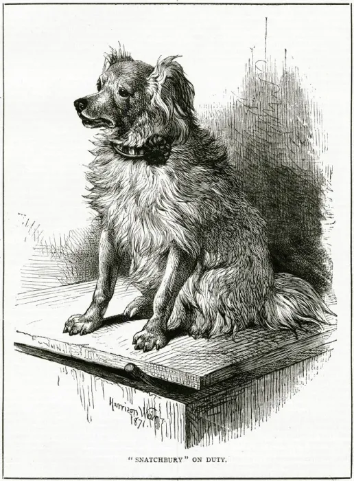 Framed Print : FAMOUS DOG SNATCHBURY