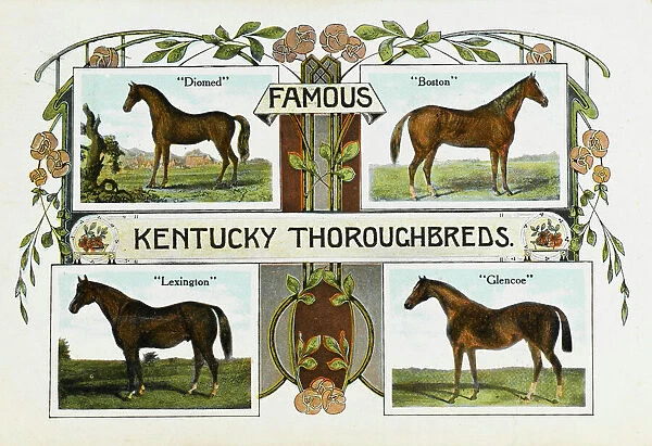 Four famous Kentucky Thoroughbreds