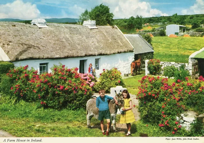 Framed Print : A farm house in Ireland Date: 1960s Framed Print : A farm house in Ireland Date: 1960s