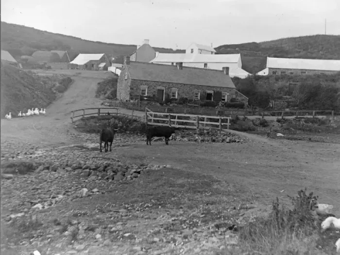 Framed Print : Farm at Nolton Haven, Pembrokeshire, South Wales Framed Print : Farm at Nolton Haven, Pembrokeshire, South Wales