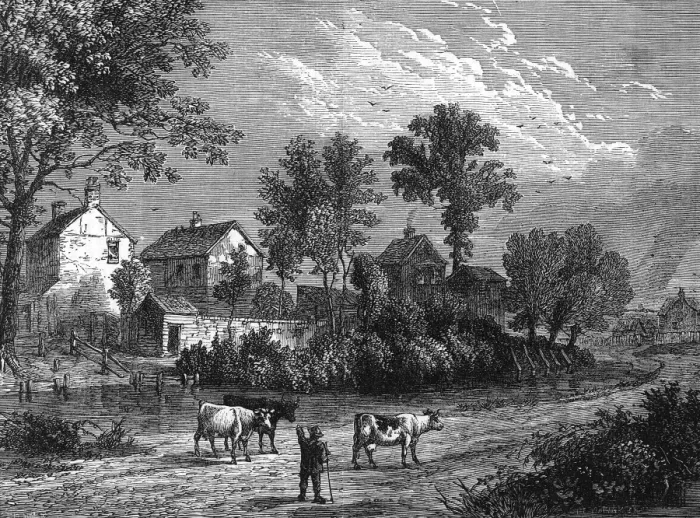Framed Print : Farm Regents Park Framed Print : Farm Regents Park