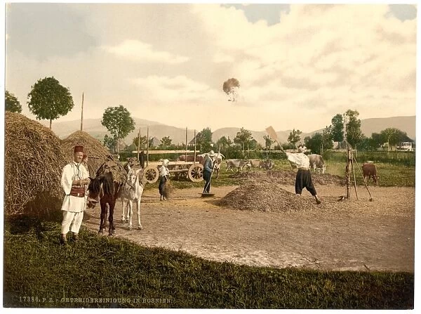 Farm scene, Bosnia, Austro-Hungary