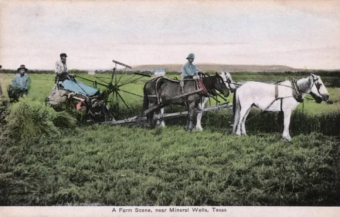 Framed Print : Farm scene near Mineral Wells, Texas, USA Framed Print : Farm scene near Mineral Wells, Texas, USA