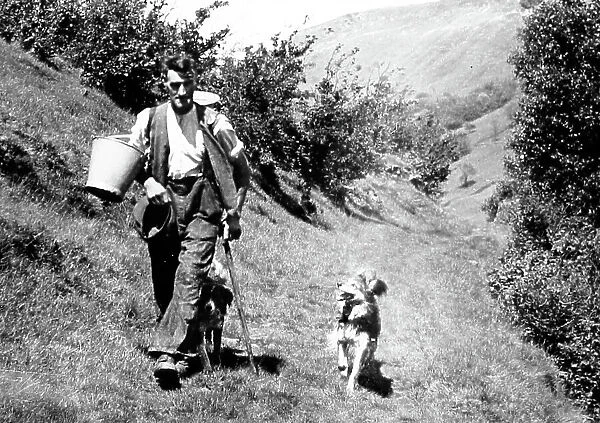 Farmer and dog, Swaledale, Yorkshire in the 1940 / 50s