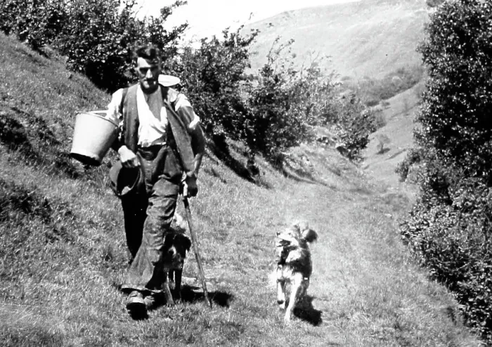 Framed Print : Farmer and dog, Swaledale, Yorkshire in the 1940 / 50s Framed Print : Farmer and dog, Swaledale, Yorkshire in the 1940 / 50s