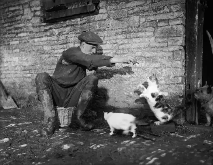 Framed Print : Farmer Feeding Cats Framed Print : Farmer Feeding Cats