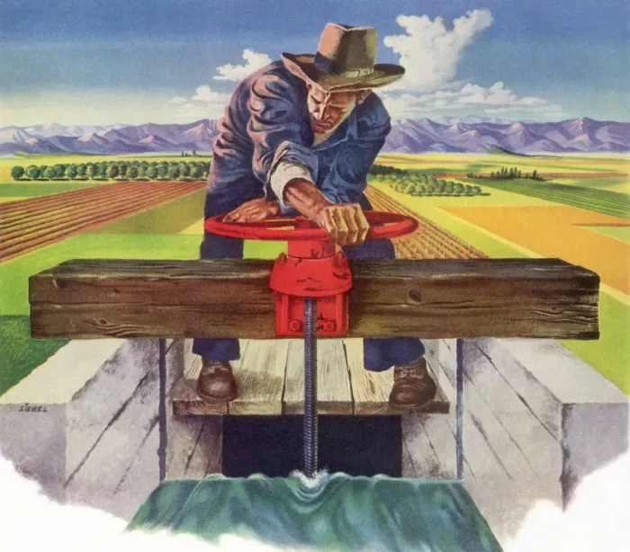 Framed Print : Farmer Irrigates Land Date: 1948 Framed Print : Farmer Irrigates Land Date: 1948