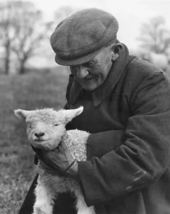 Framed Print : Farmer & Lamb Framed Print : Farmer & Lamb