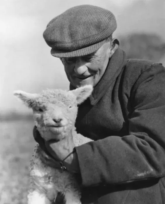 Framed Print : Farmer & Lamb Framed Print : Farmer & Lamb