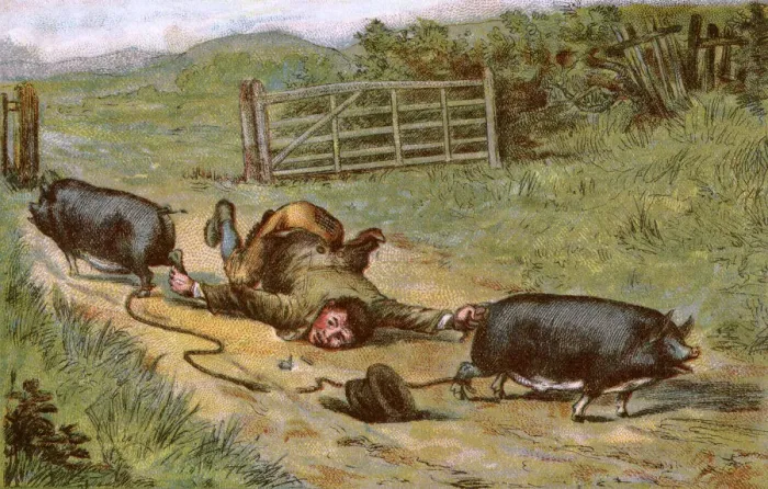 Framed Print : Farmer loses control of his pigs