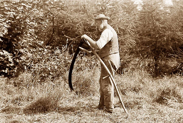 Farmer using scythe