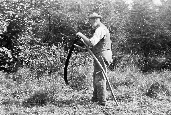 Farmer using a scythe Victorian period