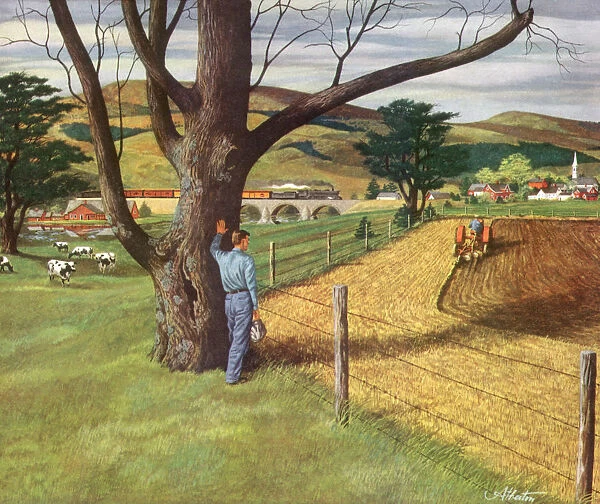 Farmer Watches Reaping Date: 1950