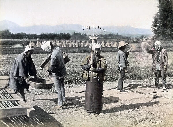 Farmers in the fields, Japan, circa 1880s. Date: circa 1880s
