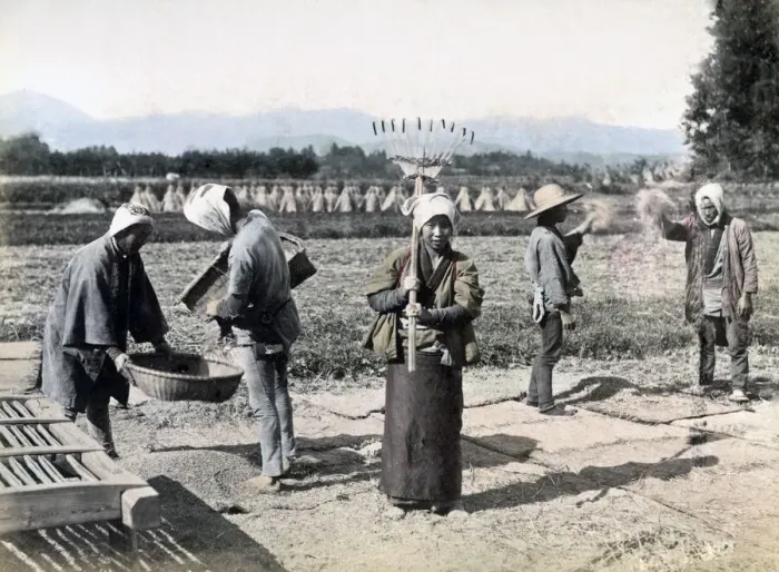 Framed Print : Farmers in the fields, Japan, circa 1880s. Date: circa 1880s Framed Print : Farmers in the fields, Japan, circa 1880s. Date: circa 1880s