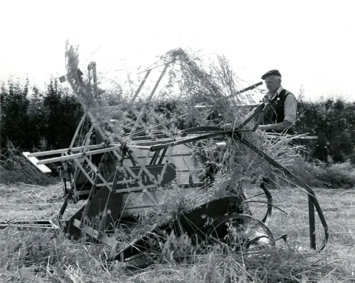 Framed Print : Farmhand using traditional binder at harvest time, Cornwall Framed Print : Farmhand using traditional binder at harvest time, Cornwall