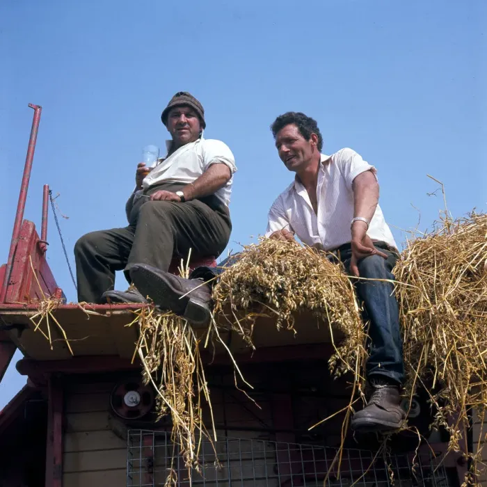 Framed Print : Two farmhands at harvest time Framed Print : Two farmhands at harvest time