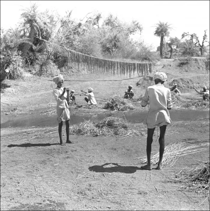Framed Print : Farming activities in Madhya Pradesh, Central India Framed Print : Farming activities in Madhya Pradesh, Central India