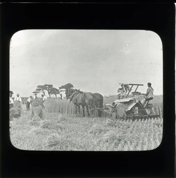 Framed Print : Farming: Haymaking - Harvesting: Horse-Drawn Bailing Machine Framed Print : Farming: Haymaking - Harvesting: Horse-Drawn Bailing Machine