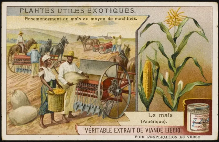 Framed Print : Farming Maize USA Framed Print : Farming Maize USA
