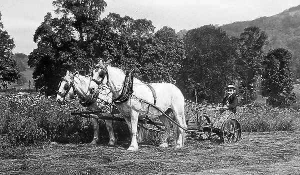 Farming - Mowing machine Victorian period