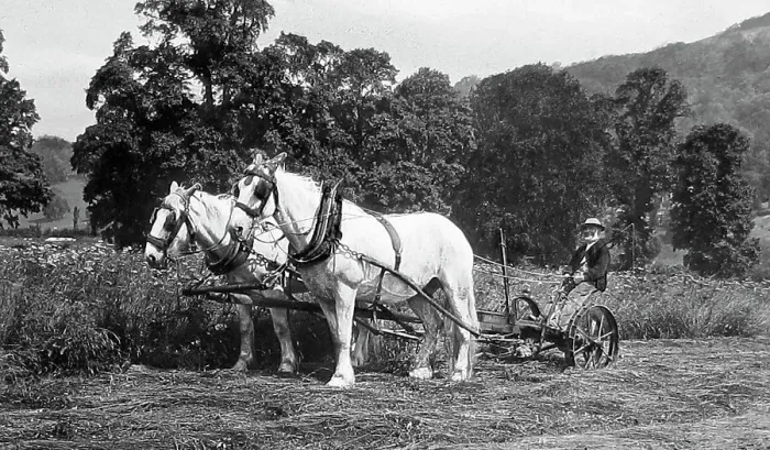 Framed Print : Farming - Mowing machine Victorian period Framed Print : Farming - Mowing machine Victorian period