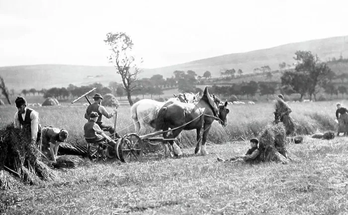Framed Print : Farming (reaping) Framed Print : Farming (reaping)
