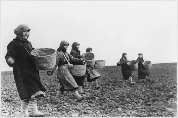 Framed Print : Farming in Russia Framed Print : Farming in Russia