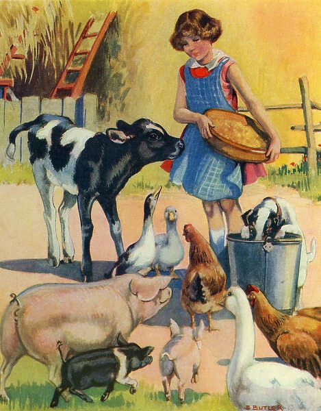 Farmyard animals eagerly await a meal served by a young farm worker