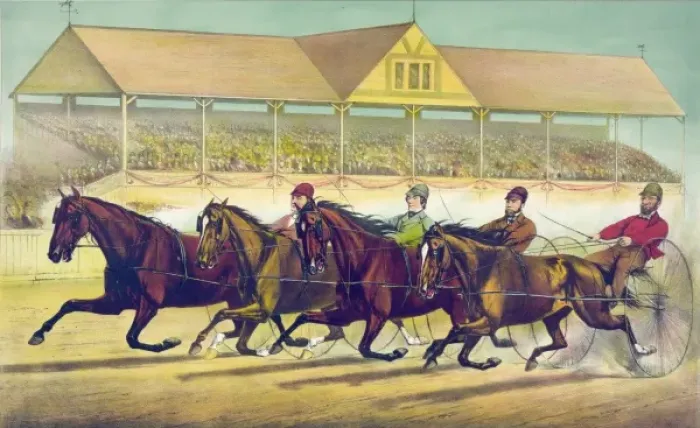 Framed Print : Fast trotters on a fast track Framed Print : Fast trotters on a fast track